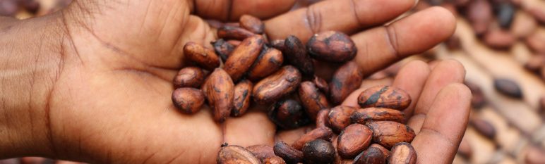 cuidado físico y nutrición