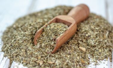 yerba mate