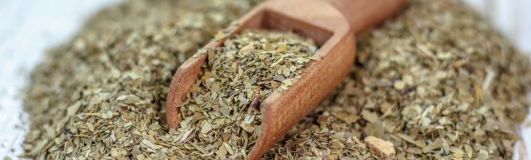yerba mate